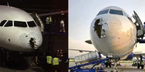 indigo plane